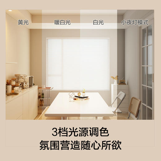 特价🔥睿风全光谱风扇灯餐厅卧室侧发光隐形扇 商品图2