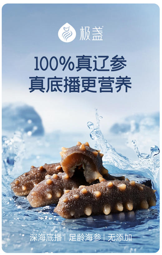 【现货】极盏大连长海县 6-7年足龄参 正宗底播大辽参  8-10头 商品图0