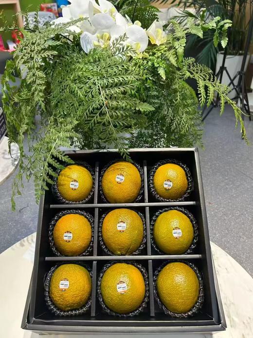 澳洲巧克力橙.（周一、三、五指定社区配送） 商品图4