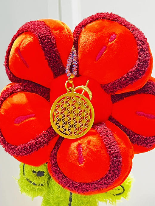 晓琳老师同款项链｜生命之花创造与吸引丰盛进入生命（配藏式手工编绳，颜色随机） 商品图2