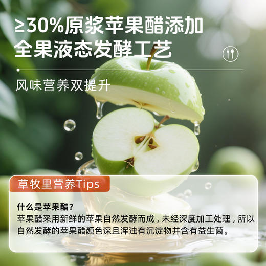 【50积分+24元】草牧里芥末酱 180g/瓶  清新解腻 商品图3