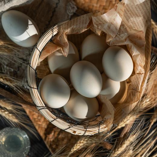 即食卤鹅蛋|山林散养鹅蛋，先卤后蒸，鲜香入味，咸淡适中，鲜而不腥，配料干净，开袋即食，8只装，16只装⭐️顺丰快递 商品图7