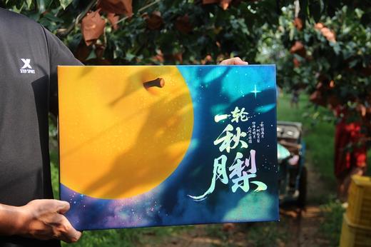 极客秋月梨丨正宗莱阳秋月梨，极客标准只做头茬大果，甜度高，化渣率高！⭐️京东顺丰快递 商品图11