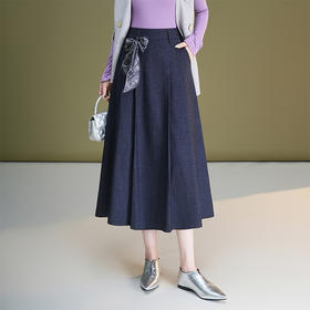 2025秋冬新款韩版简约百搭半身裙遮跨显瘦A字中长裙伞裙AIMIQ719