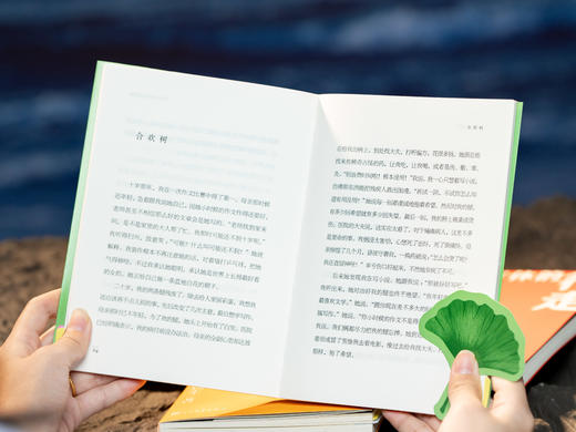 《史铁生人生四书》精装函套（全4册）| 央视、人民日报反复推荐，字字动人，华语文坛的一座高峰，带你跋涉过漫长的痛苦黑夜，给你勇气直面人生 商品图9