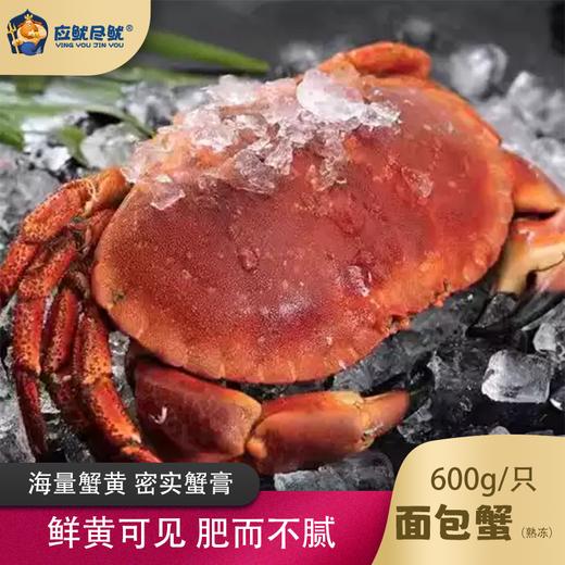 【顺丰冷链】熟冻面包蟹英国进口大个海蟹原装大螃蟹单只净重600-800g - 海福特 商品图5