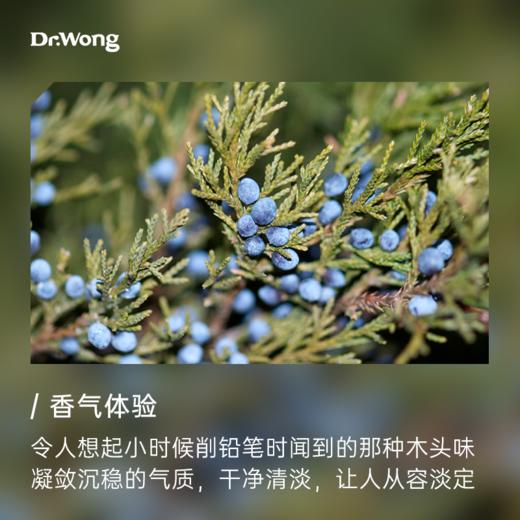 维吉尼亚雪松 植物香薰精油-撕拉款 商品图1