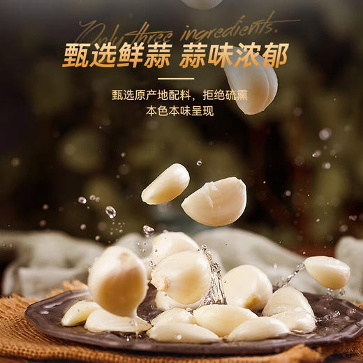 吉得利 蒜香椒盐粉15g*10袋—rxs 商品图2