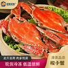 【顺丰冷链】梭子蟹 整只特大螃蟹 鲜活冷冻 海鲜水产 可清蒸 - 海福特 商品缩略图1