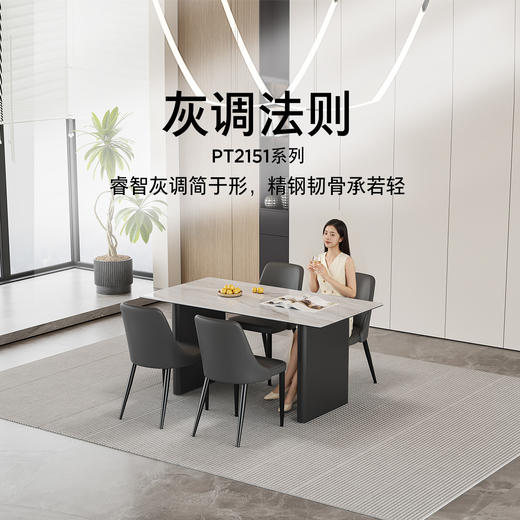 顾家家居整装 现代简约 集成 餐桌PT2151 商品图0