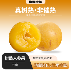 树熟人参果| 产地：云南，很特殊的一种香味，黄透的人参果汁水非常足，香甜可口，淡淡的果香味⭐️京东快递