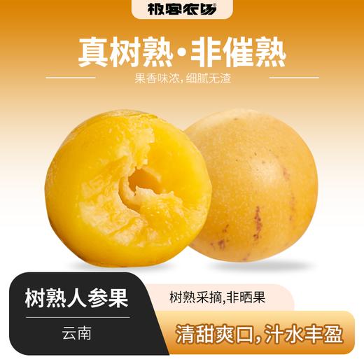 树熟人参果| 产地：云南，很特殊的一种香味，黄透的人参果汁水非常足，香甜可口，淡淡的果香味⭐️京东快递 商品图0
