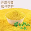 周三取货：【有机小米】一盒500克，当季新粮，米油醇厚。 商品缩略图1