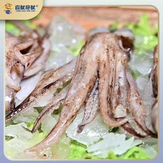 【顺丰冷链】应鱿尽鱿 冰冻小八爪鱿鱼头 新鲜冷冻去牙去吸盘去眼 水产火锅烧烤食材 - 海福特 商品图2