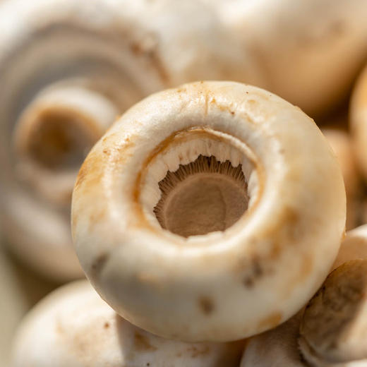 限时优惠‼️极客绿芦笋、口蘑 | 来自于芦笋之乡，绿芦笋，特别适合宝宝和健身人士； 慢生慢长口蘑、鲜香滑嫩、肉质紧实 ⭐️顺丰快递 商品图1