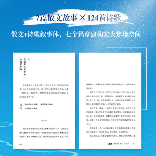 梦是我见你*的门票 北纬27度雨梦核叙事散文诗歌文学*现实赛博空间 商品图1