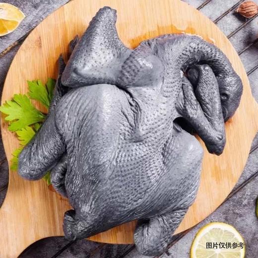 乌鸡（整只）约1.1~1.2kg 商品图1