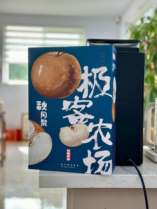 极客秋月梨丨正宗莱阳秋月梨，极客标准只做头茬大果，甜度高，化渣率高！⭐️京东顺丰快递 商品图6