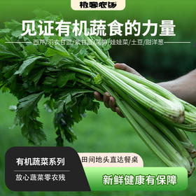 高原有机蔬菜系列丨去叶切头西芹/娃娃菜/土豆/洋葱/羽衣甘蓝/紫甘蓝，放心菜，新鲜到家，⭐️顺丰陆运