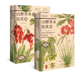 山野草木绘真（收藏版） &3182 一部跨越生态与文明的中国草木视觉志—— 从荒野秘境到人间烟火， 唤醒你忽视的中华草木DNA