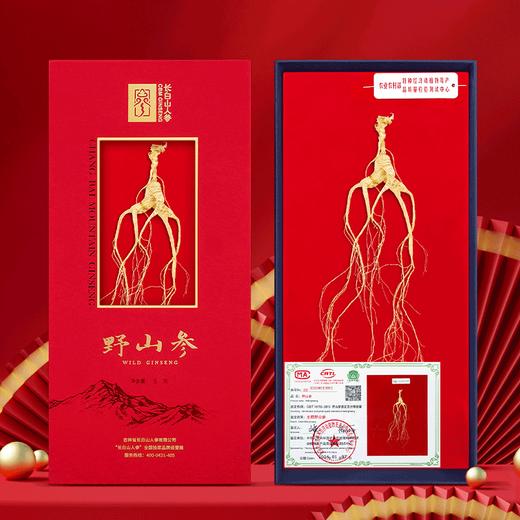 热卖【野山参开窗礼盒】长白山野山参高档礼盒含国检证书东北特产3g/4g/5g 商品图1