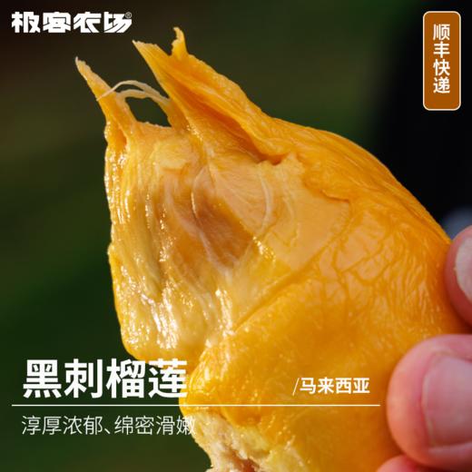 马来西亚液氮榴莲丨猫山王、黑刺，猫山王微苦回甘、蜜甜奶香味；黑刺淳厚浓郁、绵密滑嫩⭐️顺丰快递 商品图2