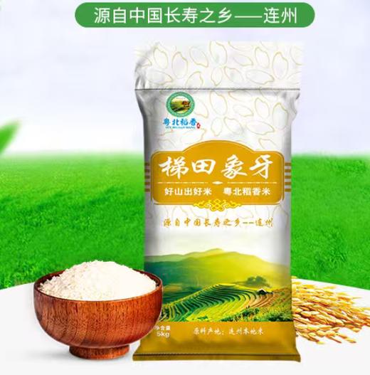 广东清远连州梯田象牙米5kg/袋 商品图0