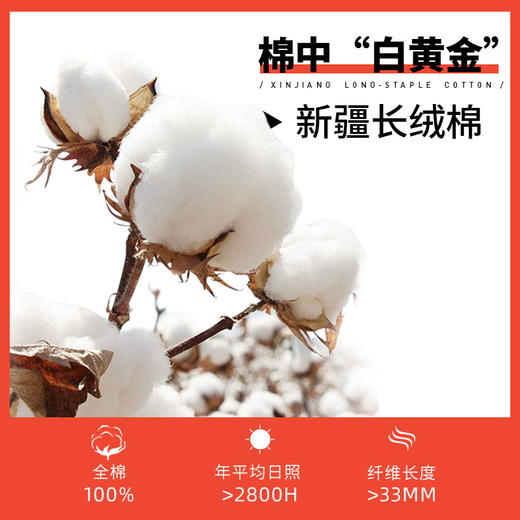 多喜爱 Hot flame 热能科技加厚冬被/子母被【新疆长绒棉】【科技发热：热得快、热度高、持续热】【分区保暖工艺】【拒绝睡眠噪音】/FX 商品图8