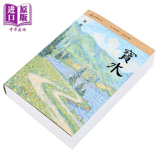 预售 【中商原版】寳水 港台原版 乔叶 香港三联书店 商品图2