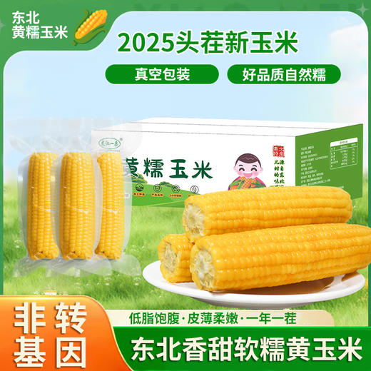 【龙江一栗】东北黄糯玉米220g*10根 商品图0