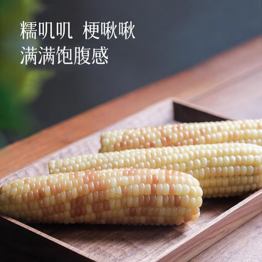 【花糯玉米/拇指玉米】糯叽叽 梗啾啾 蒸煮7-8分钟 或放入微波炉中加热2分30秒 减脂早餐 商品图2