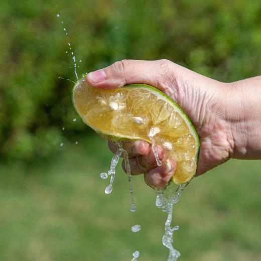 送榨汁杯！【青皮葡萄柚】柚子界的小清新——“表里不一”的青皮葡萄柚，用清甜多汁打破世俗的偏见，简直就是一颗“汁水炸弹”~ 商品图4