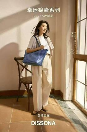 迪桑娜DISSONA迪桑娜手袋8253014002