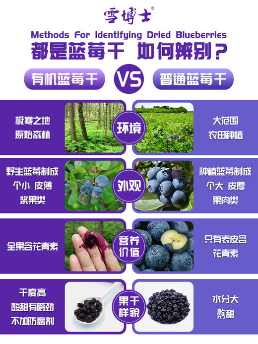雪博士 有机蓝莓干150克 商品图4