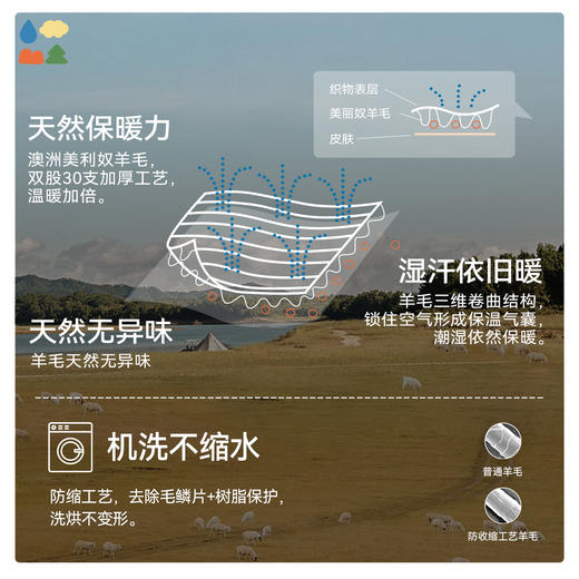 【插肩袖羊毛毛衣】森林棠25秋冬新款美利奴复古经典撞色针织儿童毛衣60553109 商品图3