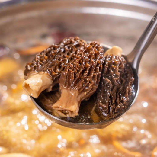 羊肚菌（干货）| 可以煲汤，红烧，炒、炖、蒸，烹饪后满屋飘鲜，⭐️中通/韵达随机 商品图4