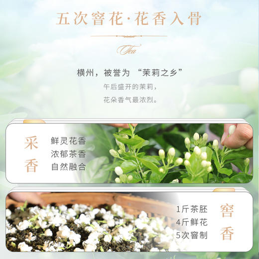 谢裕大茉莉飘雪茉莉花茶100g茶叶袋装浓香花草茶茶叶口粮推荐 商品图4
