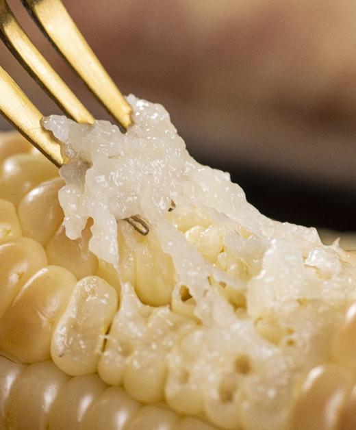 元气壹号 西双版纳巴掌小玉米 商品图2