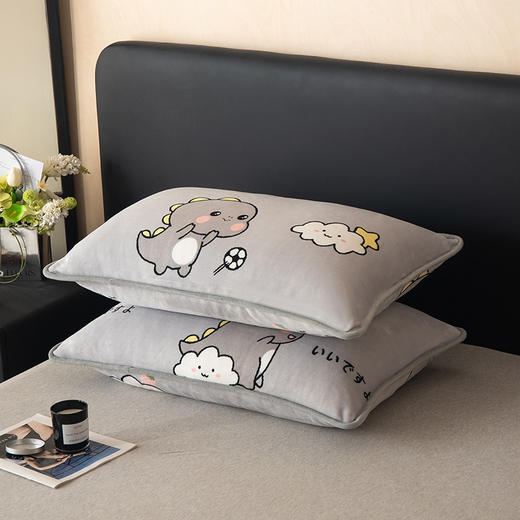 自然醒A类纯色印花包边牛奶绒枕套一对装48x74cm冬季家用加厚枕头套枕芯内胆套QJ 商品图2