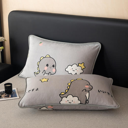 自然醒A类纯色印花包边牛奶绒枕套一对装48x74cm冬季家用加厚枕头套枕芯内胆套QJ 商品图0