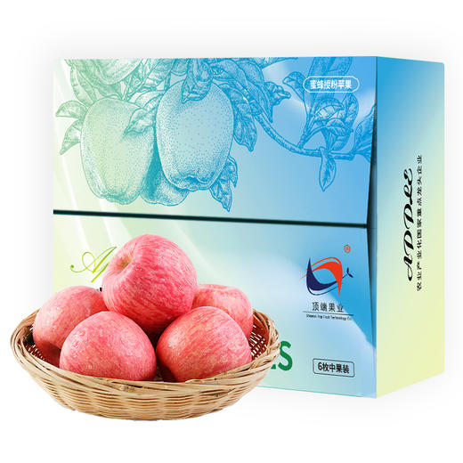 【试吃中果】陕西洛川红富士苹果6枚中果苹果(75mm-80mm) 小巧玲珑 一个刚刚好 商品图0
