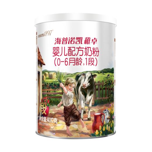 海普诺凯稚卓婴儿配方奶粉1段400g 商品图0