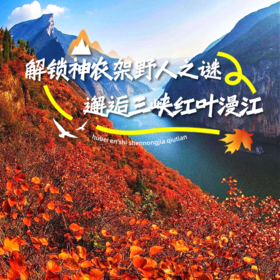 【错峰追秋】湖北 9 日秘境游——探秘神农架彩林云海，登三峡赏漫山红叶，武当山拍金秋盛景