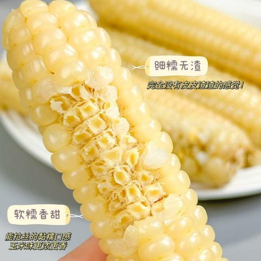 滇枝萃 云南西双版纳 拇指小玉米1000g/袋&香糯小玉米5斤装 急速锁鲜，原汁原味，口感香甜；吃法多样可蒸煮、微波加热等； 商品图12