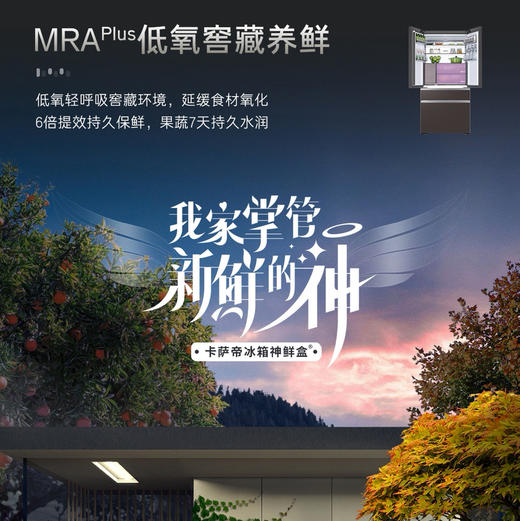 卡萨帝（Casarte）冰箱 BCD-570WGCFDM4ZHU1 商品图7