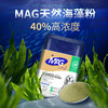 【MAG海藻美毛粉400g】宠物狗狗防脱毛保护皮肤美毛 黑鼻头增加色素沉淀 商品缩略图1