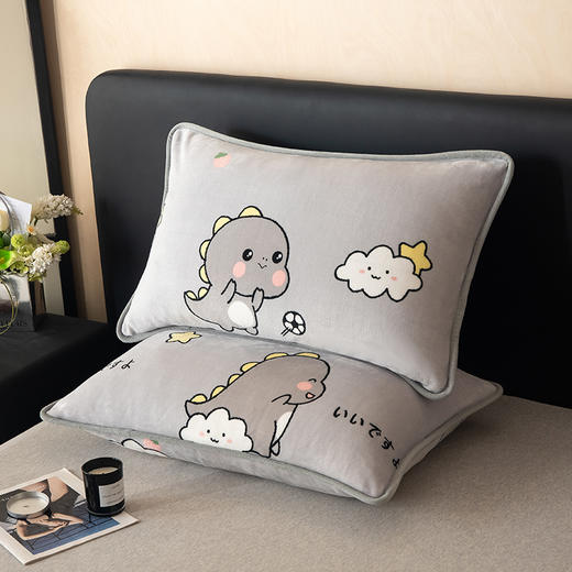 自然醒A类纯色印花包边牛奶绒枕套一对装48x74cm冬季家用加厚枕头套枕芯内胆套QJ 商品图1