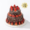 【双层蛋糕】森林城堡 6+4英寸 巧克力口味双重夹心水果搭配 商品缩略图0