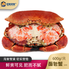 【顺丰冷链】熟冻面包蟹英国进口大个海蟹原装大螃蟹单只净重600-800g - 海福特 商品缩略图1
