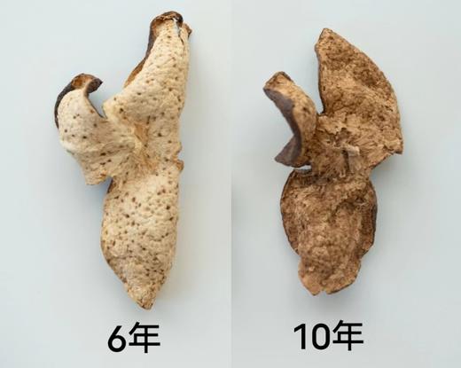 新会陈皮 | 匠心陈藏，醇香浓厚，源自天马核心产区，自然生晒，足年陈化， 203项SGS零农残检测，6年陈皮/10年陈皮⭐️京东快递 商品图6